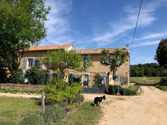 볼렌느 Mas De Costebelle B&B 외부 사진