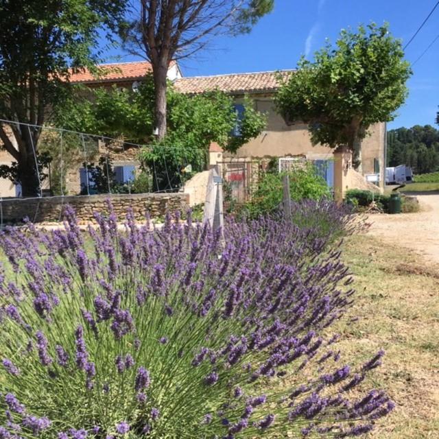 볼렌느 Mas De Costebelle B&B 외부 사진